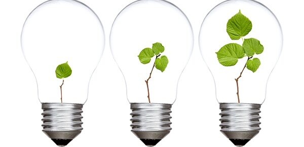 Plants grow in lightbulbs, illustrating ideas for growth