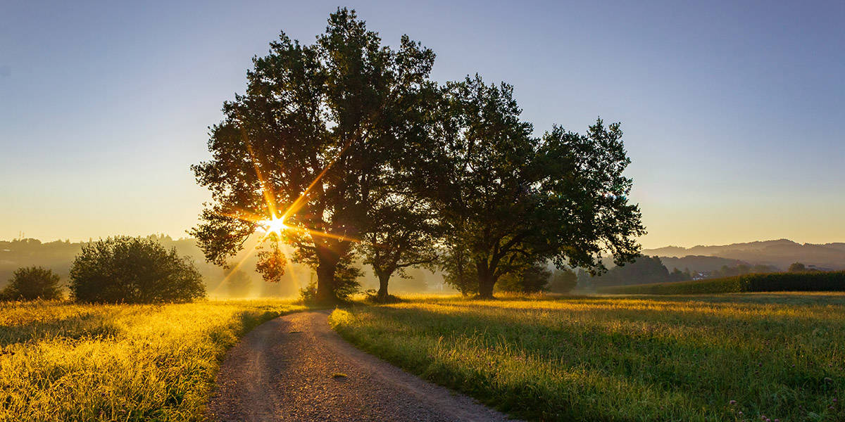 The Growth Mindset: Forward, Always Forward - Kathryn Aragon