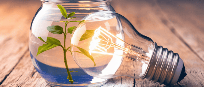 A creative visual representation of PLG content. There is a light bulb with a filament glowing brightly. The light bulb is inside a glass jar filled with water. There is a small plant growing inside the jar.